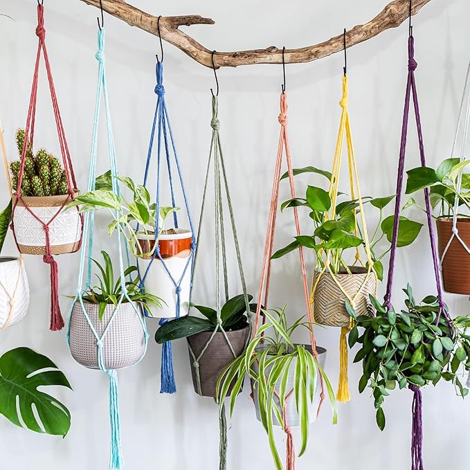 MECCANIXITY 5/32 Inch Polypropylene Rope Braided Ropes, 328ft Camping Rope Hollow Utility Cord for Clothesline, Hiking, Outdoor, Light Orange