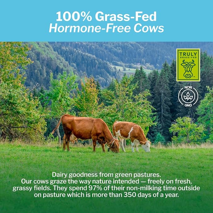 Opportuniteas Grass Fed Chocolate Whey Protein Isolate Powder - 20g Protein Powder Without Artificial Sweeteners, Hormone-Free Happy Cows, Non GMO - 1lb