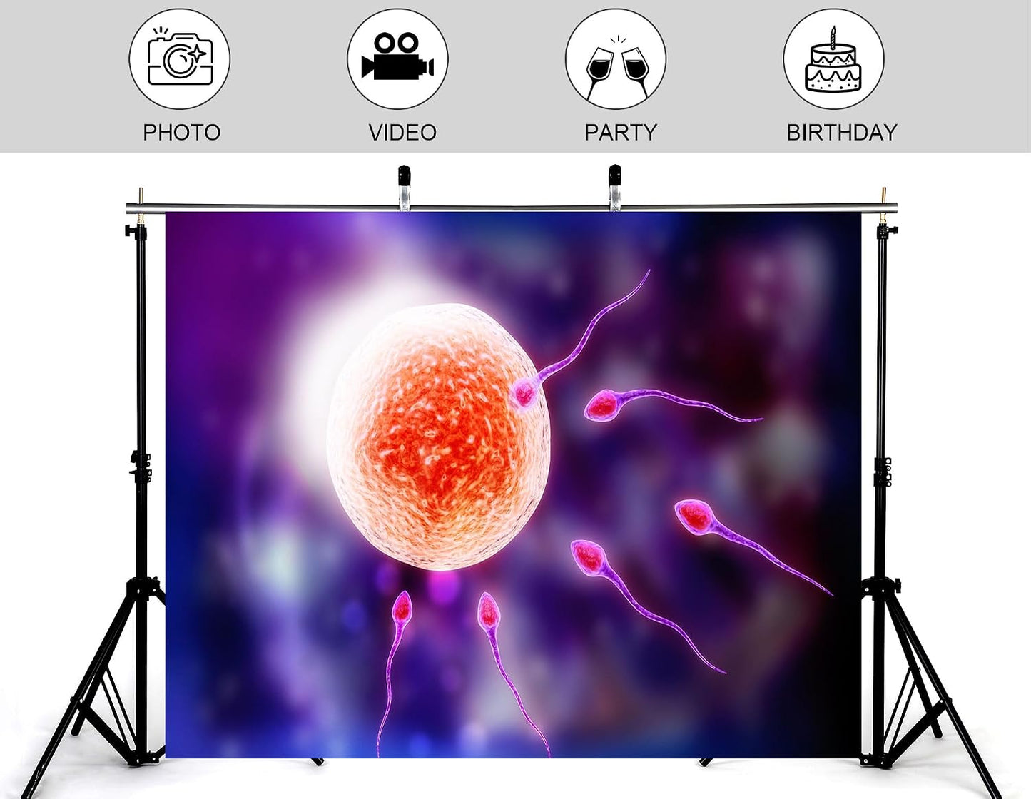 KeyWork 8x5ft Human Fertilization Illustration Backdrop Reproductive Science Photography Background for Health Fair