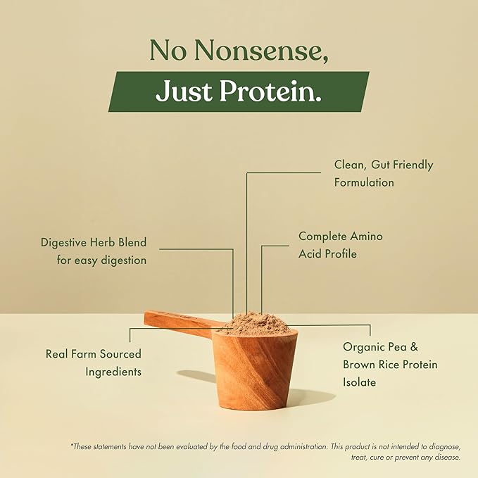No Nonsense Plant Protein, Organic Brown Rice & Pea Isolate, Easy Digestion, 24G Protein/Serving, Gluten & Lactose Free Cocoa Beet 500 G (Pack of 1)