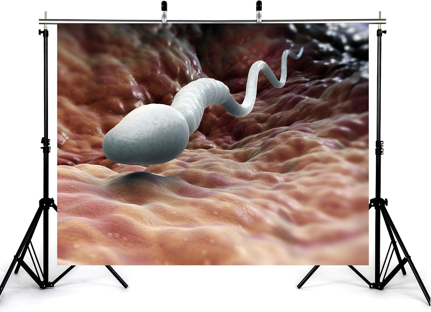 KeyWork 8x6ft Sperm Cell Backdrop Microscopic Reproductive Tissue View Photography Background for Medical Conference