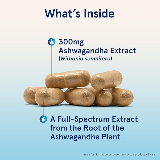 Jarrow Formulas Ashwagandha 300 mg - 120 Veggie Capsules - Overall Health & Resistance to Fatigue - Supplement Supports Endurance, Muscle Recovery & Cognitive Health - 60 Servings (Pack of 12)