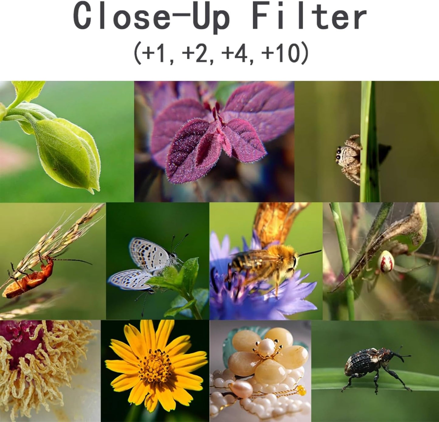YOFOTIXAUU 55mm 4 (+1 +2 +4 +10) Set, (55mm) Close-Up Lens Filters Kit Pieces Macro Filter Lens Cap & Cleaning Cloth