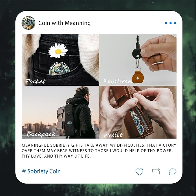 One Day at a Time 21 Year Sobriety Coin - Recovery Aurora Forest Wolf AA Coins - Addiction NA AA Chips and Medallions - Celebrate 1-30 Living Clean Narcotics Alcoholics Anonymous Gifts for Men Women