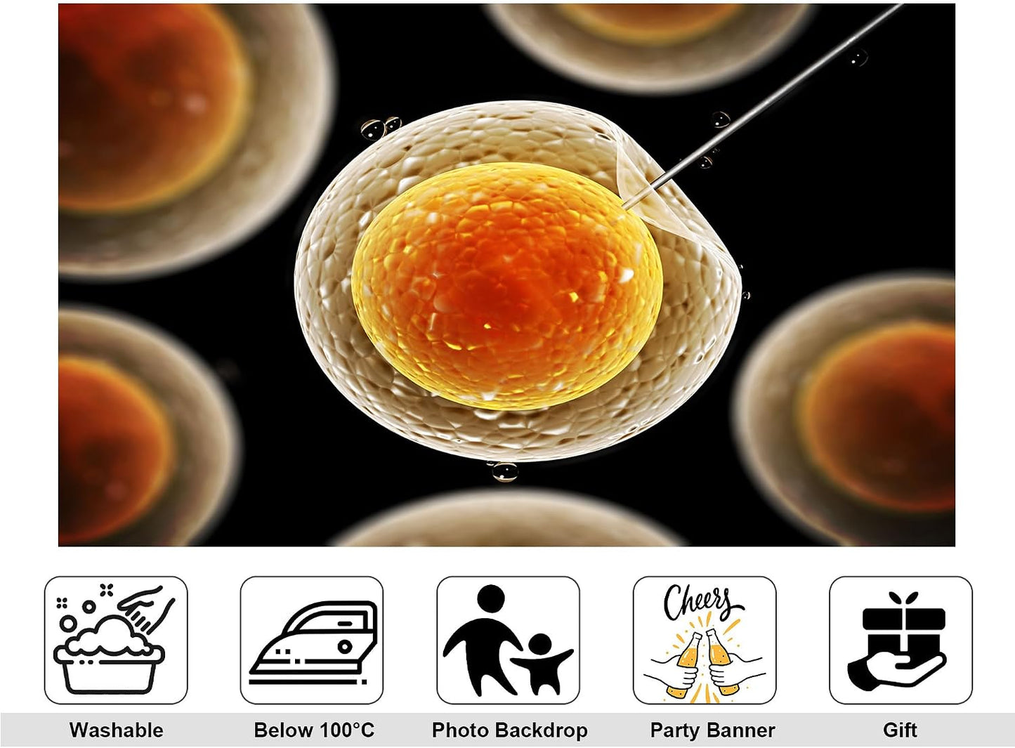 KeyWork 9x6ft Egg Cell Fertilization Backdrop Reproductive Medical Photography Background for Science Fair Health Event