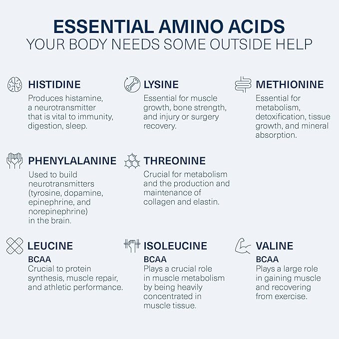 The Amino Co. - Heal - Post Workout Recovery Drink with Pure Eaa Amino Acid Formula -Creatine Monohydrate Powder for Efficient Muscle Repair, Vegan, and Keto-Friendly with Sour Apple Flavor - 10.89oz.