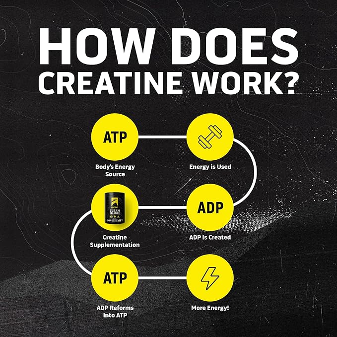 Ascent Clean Creatine Monohydrate Powder - 5G Per Serving, Creapure Creatine Supplement - Unflavored, 100 Servings