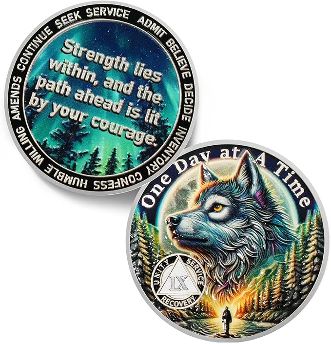 One Day at a Time 9 Year Sobriety Coin - Recovery Aurora Forest Wolf AA Coins - Addiction NA AA Chips and Medallions - Celebrate 1-20 Living Clean Narcotics Alcoholics Anonymous Gifts for Men Women